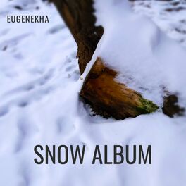 Album cover of Snow Album