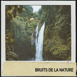 Album cover of Bruits de la nature : chute d'eau et pluie