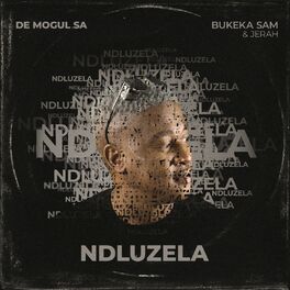 Album cover of Ndluzela