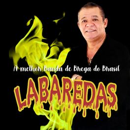 Album cover of A Melhor Banda de Brega do Brasil