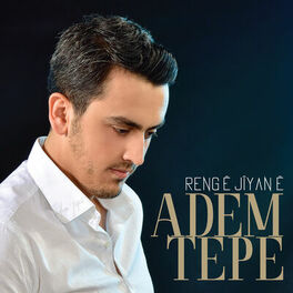 Album cover of Rengê Jîyanê