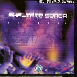 Album cover of Exaltate Señor