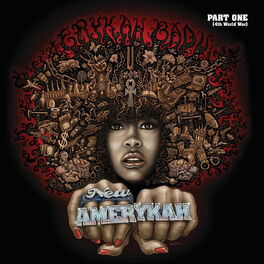 Album cover of New Amerykah Part One (4th World War)