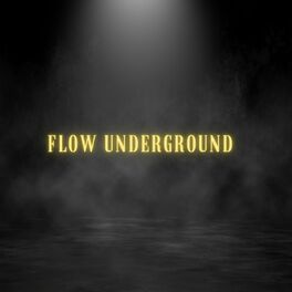 Album cover of Flow Underground