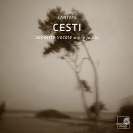 Album cover of Cesti: Cantate