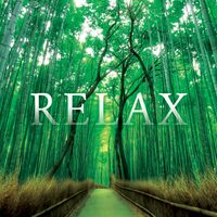 Various Artists - Relax: lyrics and songs