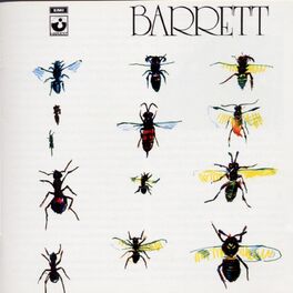 Album cover of Barrett