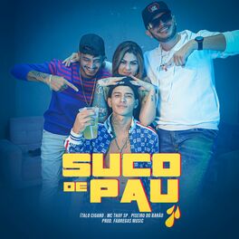 Album cover of Suco de Pau