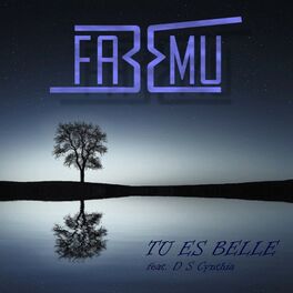 Album cover of Tu es belle