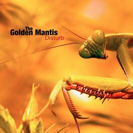 Album cover of Disturb