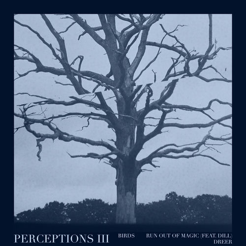 VA - Perceptions III LNX14