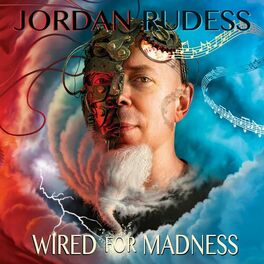 Album cover of Wired For Madness