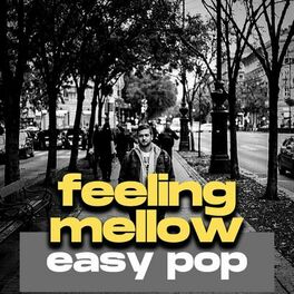 Album cover of feeling mellow easy pop