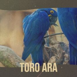 Album cover of Toro Ara