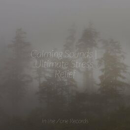 Album cover of Calming Sounds | Ultimate Stress Relief