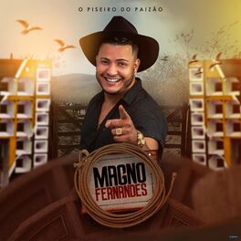 Album cover of O Piseiro do Paizão