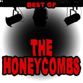 Album cover of Best of the Honeycombs