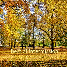 Album cover of Best of Intermission