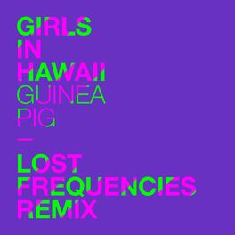 Album cover of Guinea Pig (Lost Frequencies Remix)
