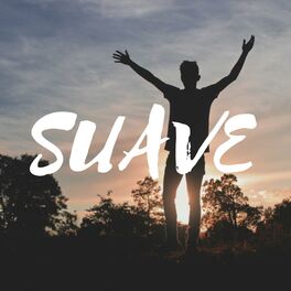 Album cover of Suave (feat. Pala)