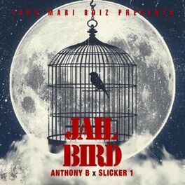 Album cover of Jail Bird (feat. Anthony B)