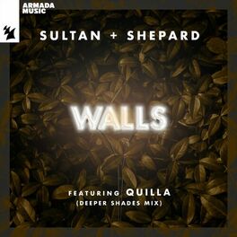 Album cover of Walls (Deeper Shades Mix)