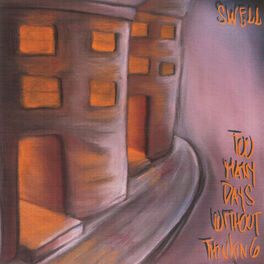 Album cover of Too Many Days Without Thinking