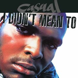 Album cover of I Didn't Mean To