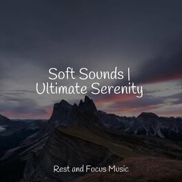 Album cover of Soft Sounds | Ultimate Serenity