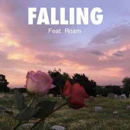 Album cover of FALLING