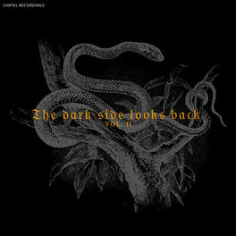 Album cover of THE DARK SIDE LOOKS BACK - Vol. II