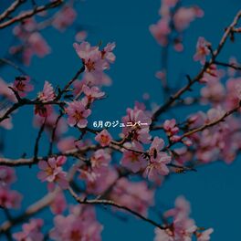 Chill Out: albums, songs, playlists