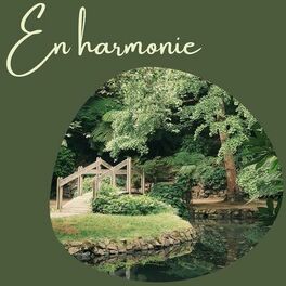 Album cover of En harmonie - Des chansons new age relaxantes à utiliser comme musique de fond pour vous reposer et vous vider l'esprit