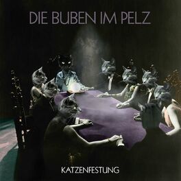 Album cover of Katzenfestung
