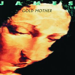 Album cover of Gold Mother
