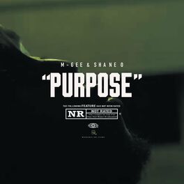 Album cover of Purpose (feat. Shane O)