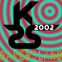 Album cover of Raversland