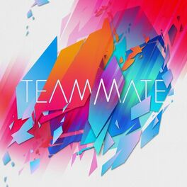 Album cover of TeamMate