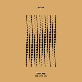 Album cover of Shame (Remixes)