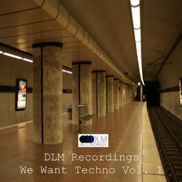 Album cover of DLM Recordings We Want Techno, Vol. 1