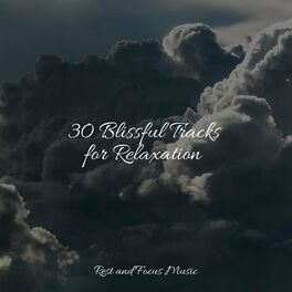 Album cover of 30 Blissful Tracks for Relaxation