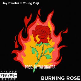 Album cover of Burning Rose