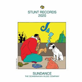 Album cover of Stunt Records Compilation 2020, Vol. 28