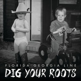 Album cover of Dig Your Roots