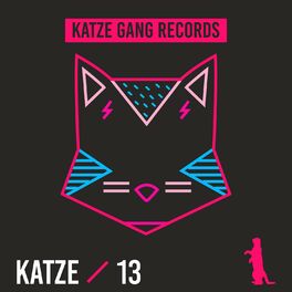 Album cover of Katze 13