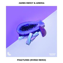 Album cover of Fractures (MVRSE Remix)
