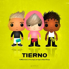 Album cover of Tierno