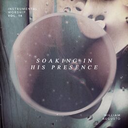 Album cover of Soaking in His Presence, Vol. 14