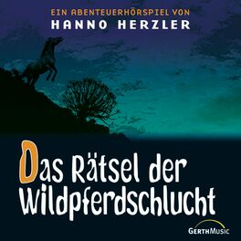 Album cover of 13: Das Rätsel der Wildpferdeschlucht