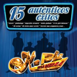Album cover of 15 Auténticos Éxitos